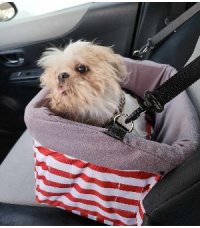 Booster Car Seat for Dogs by Colarlemo - Small dogs or cats up to 18lbs, Red Striped Flannel lined, Pillow bottom, Secure leash